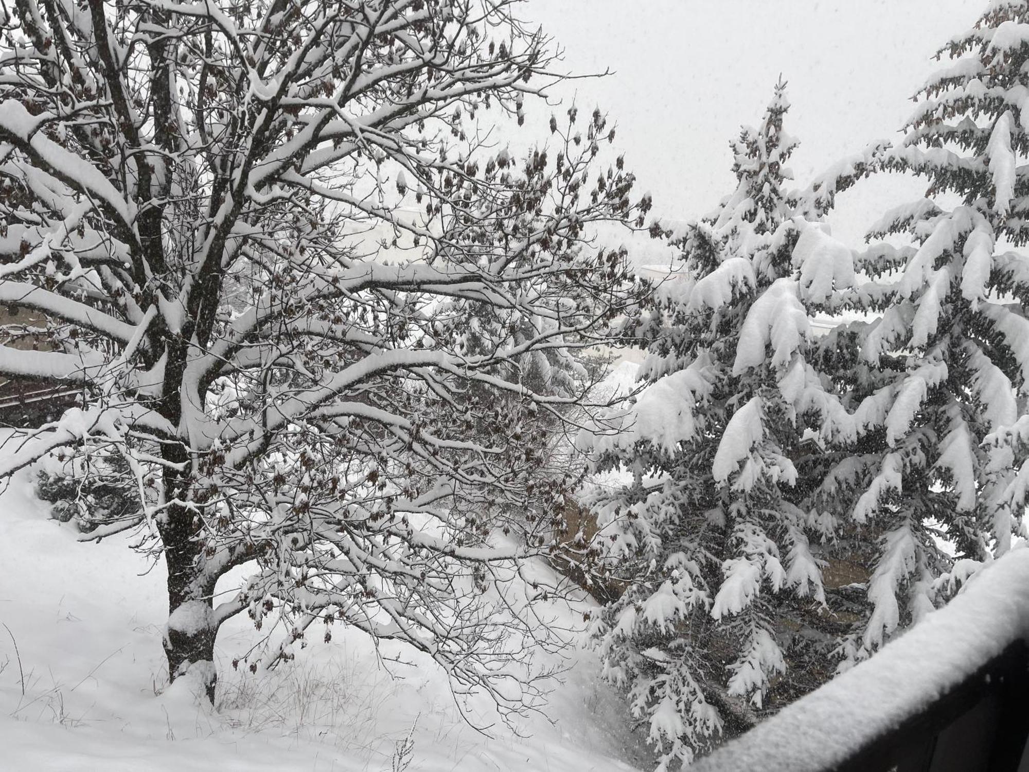 Serre Chevalier Studio 30 M2 Coin Montagne A 8 Minutes Des Pistes แซ็งต์-ชาเฟรย์ ภายนอก รูปภาพ